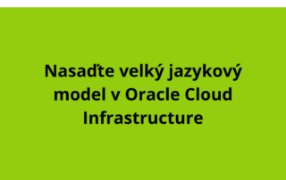 Nasaďte velký jazykový model v Oracle Cloud Infrastructure